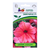Семена цветов Петуния прямостоячая коралловая "Кэнди Эвелина F1", 5 шт Семена цветов Петуния прямостоячая коралловая "Кэнди Эвелина F1", 5 шт