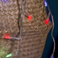 Гирлянда «Нить» 5 м с насадками «Игла», IP20, прозрачная нить, 50 LED, свечение мульти, 8 режимов, 220 В Гирлянда «Нить» 5 м с насадками «Игла», IP20, прозрачная нить, 50 LED, свечение мульти, 8 режимов, 220 В