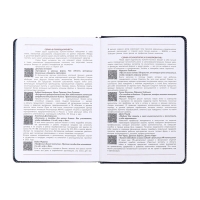 Ежедневник датированный 2025 года, ESCALADA, A5 176 листов, твердая обложка кожзам с поролоном, блинтовое тиснение, перфорация на обложке, блок 70 г/м2, синий