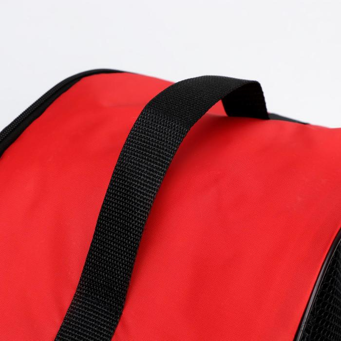 Сумка - переноска для животных, оксфорд, 42 х 22 х 29 см, красная Сумка - переноска для животных, оксфорд, 42 х 22 х 29 см, красная