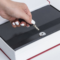 Сейф-книга "Ревизор", 5,5х15,5х24 см, ключевой замок Сейф-книга "Ревизор", 5,5х15,5х24 см, ключевой замок