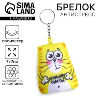 Брелок-антистресс &laquo;Приношу счастье&raquo;