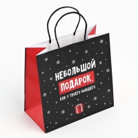 Пакет подарочный новогодний «Небольшой подарок», 22 х 22 х 11 см , Новый год Пакет подарочный новогодний «Небольшой подарок», 22 х 22 х 11 см , Новый год