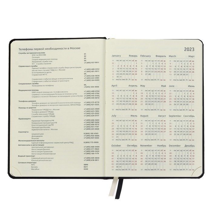 Ежедневник датированный 2024 A5 176 листов, deVENTE.Emblem, твёрдая обложка из искусственной кожи, ляссе, кремовый блок 70 г/м2, чёрный