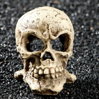 Декор для аквариума "Череп", 10 х 8 х 9 см Декор для аквариума "Череп", 10 х 8 х 9 см