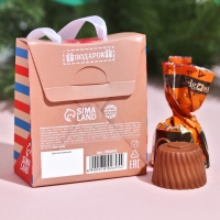 Подарочные конфеты &laquo;Новогодняя почта&raquo;, с кусочками манго, 30 г.