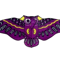 Воздушный змей «Сова», с леской, МИКС Воздушный змей «Сова», с леской, МИКС