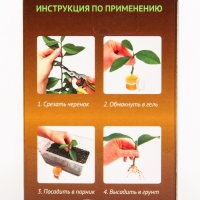 Укоренитель для комнатных многолетных цветов "Радигрин", оранжевый, 30 мл Укоренитель для комнатных многолетных цветов "Радигрин", оранжевый, 30 мл