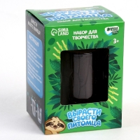 Набор для творчества &laquo;Вырасти своего питомца&raquo; Ленивец