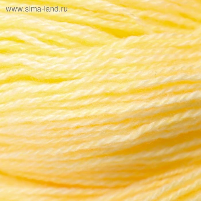 Пряжа "Карачаевская" 100% акрил 820-850м/250-280гр (24 Шампанское)