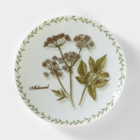 Тарелка фарфоровая &laquo;Ботаника. Сныть&raquo;, d=20 см