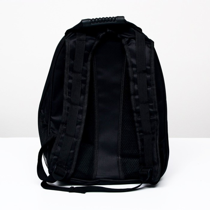 Рюкзак для переноски кошек и собак Рюкзак для переноски кошек и собак "Сакура", с окном, 32 х 25 х 42 см