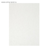 Папка для акварели А3, 10 листов 200г/м2 Calligrata, бумага СПБФ ГОЗНАК Папка для акварели А3, 10 листов 200г/м2 Calligrata, бумага СПБФ ГОЗНАК