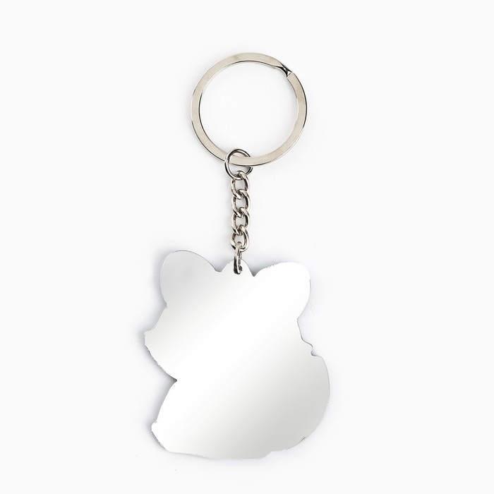 Брелок для ключей зеркало «Ослепляй своей красотой», 9 х 4.1 см Брелок для ключей зеркало «Ослепляй своей красотой», 9 х 4.1 см