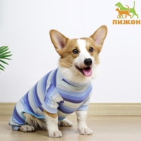 Попона послеоперационная, вискоза, размер ХL (ОШ 31, ОГ 50, ОТ 39 см, вес 12-18 кг), голуба 96146 Попона послеоперационная, вискоза, размер ХL (ОШ 31, ОГ 50, ОТ 39 см, вес 12-18 кг), голуба 96146