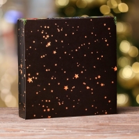 Новый год. Упаковка для конфет 16 шт &laquo;Новогодние ветви&raquo;, 17,7 х 17,7 х 3,8 см