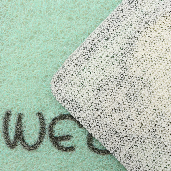 Коврик придверный грязезащитный Доляна &laquo;Корги&raquo;, 40&times;60 см, цвет зелёный