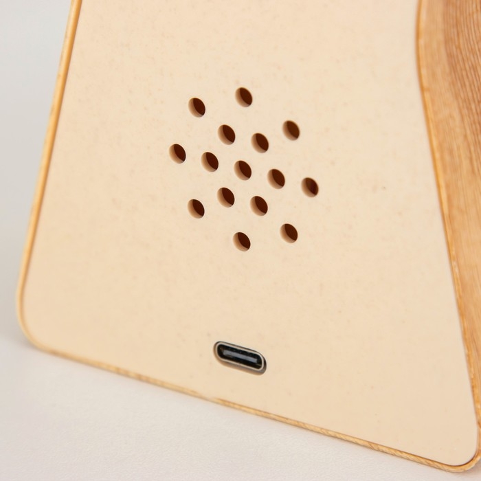 Светильник сенсорный "Цветок" LED крутится 6Вт USB 15х4х16 см RISALUX