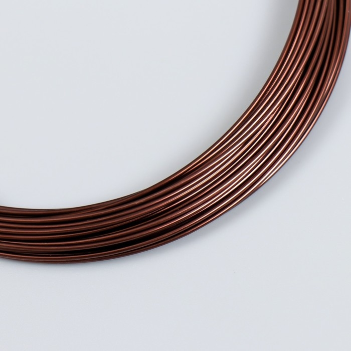 Проволока для рукоделия Проволока для рукоделия "Астра" 1 мм, 10 м, тёмно-коричневый