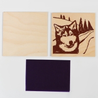 Набор для выжигания по дереву &laquo;Белый клык&raquo;