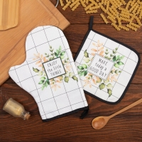 Набор Кухонный &laquo;Flora&raquo;, варежка-прихватка 20х28см, прихватка 19х19см, 100% хл