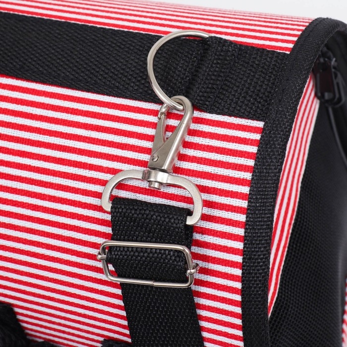 Сумка - переноска для животных "Полоски" с органайзером, розовая, размер M, 40 х 26 х 20 см