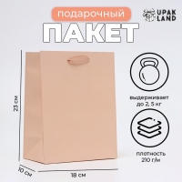 Пакет ламинированный &laquo;Пыльная роза&raquo;, MS 18 &times; 23 &times; 10 см