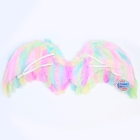 Крылья ангела 52&times;23 см