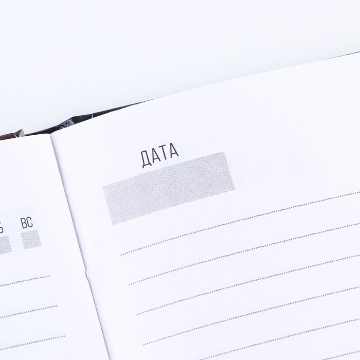 Ежедневник &laquo;Настоящий&raquo; А5, 80 листов