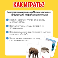 Развивающий набор &laquo;Мои первые слова&raquo;