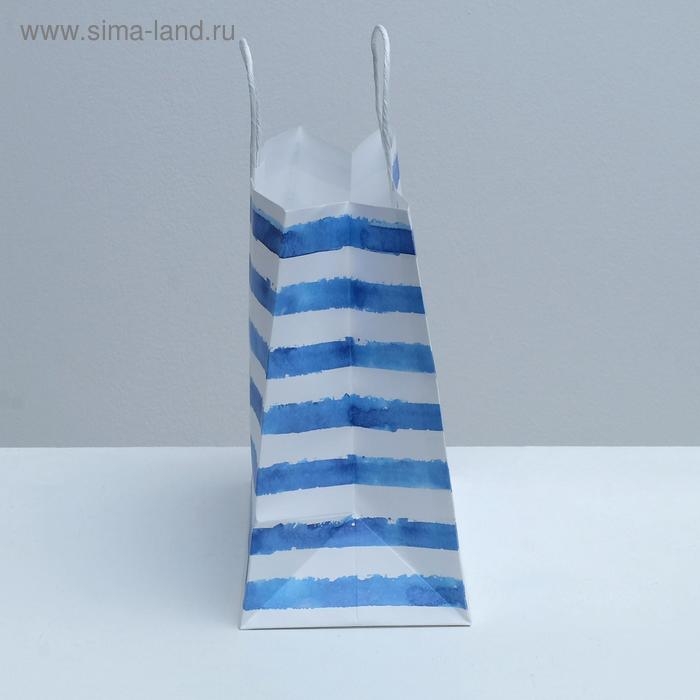 Пакет подарочный крафтовый, упаковка, «Якорь», 32 х 28 х 15 см Пакет подарочный крафтовый, упаковка, «Якорь», 32 х 28 х 15 см