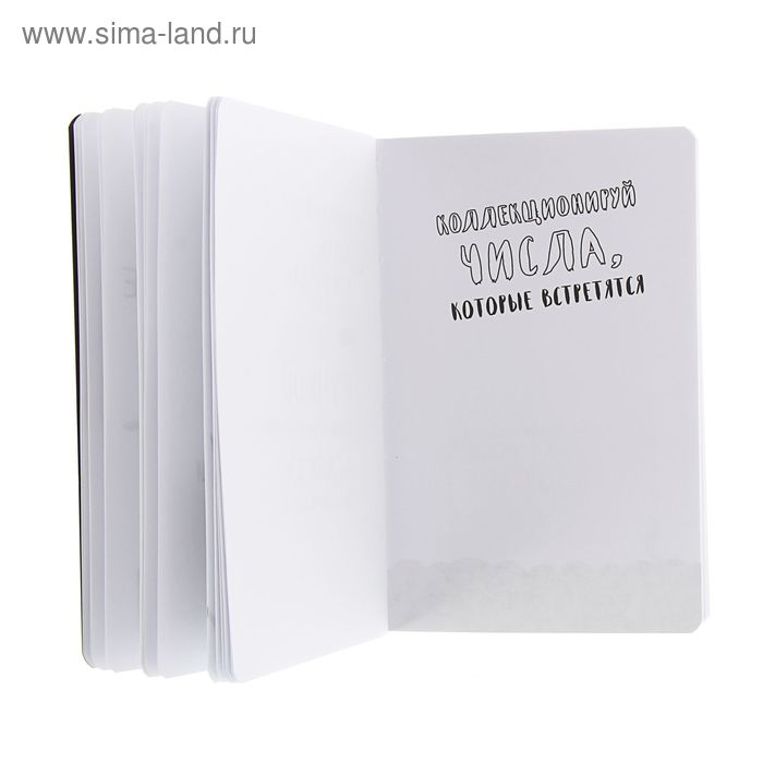 &laquo;Уничтожь меня везде!&raquo;, Wreck This Journal Everywhere, Смит К.