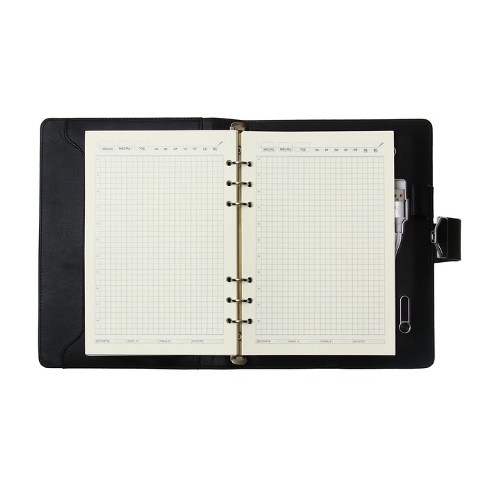 Органайзер на кольцах,ПВХ, А5,140 л,клетка,с ручкой,подар короб,сканер пальца,зарядка,Черный Органайзер на кольцах,ПВХ, А5,140 л,клетка,с ручкой,подар короб,сканер пальца,зарядка,Черный