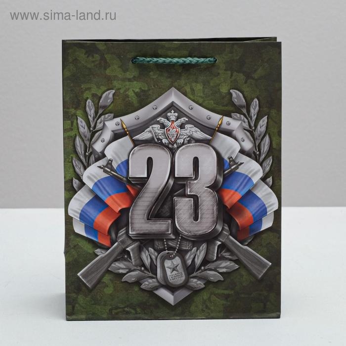 Пакет подарочный ламинированный вертикальный, упаковка, &laquo;Настоящий Защитник!&raquo;, MS 18 х 23 х 10 см