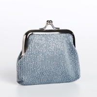 Кошелёк женский на фермуаре, цвет серебряный Кошелёк женский на фермуаре, цвет серебряный