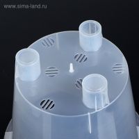 Кашпо для цветов &laquo;Фиджи&raquo;, 5 л, d=23 см, прозрачное