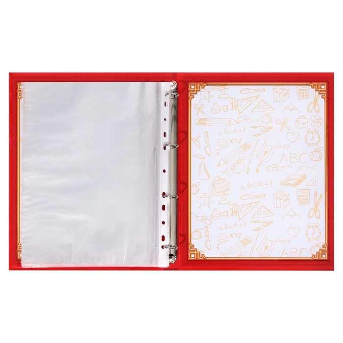 Папка школьная на кольцах &laquo;Портфолио школьника&raquo;, 13 листов-разделителей, 24,5 х 32 см.