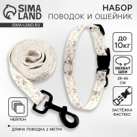 Набор «Мрамор», застёжка - фастекс, поводок 2 м и ошейник 28-46 см Набор «Мрамор», застёжка - фастекс, поводок 2 м и ошейник 28-46 см