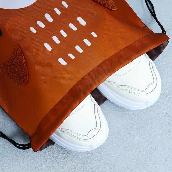 Мешок для обуви &laquo;1 сентября: Teddy Bear&raquo; с дополнительными элементами, 30 х 40 см