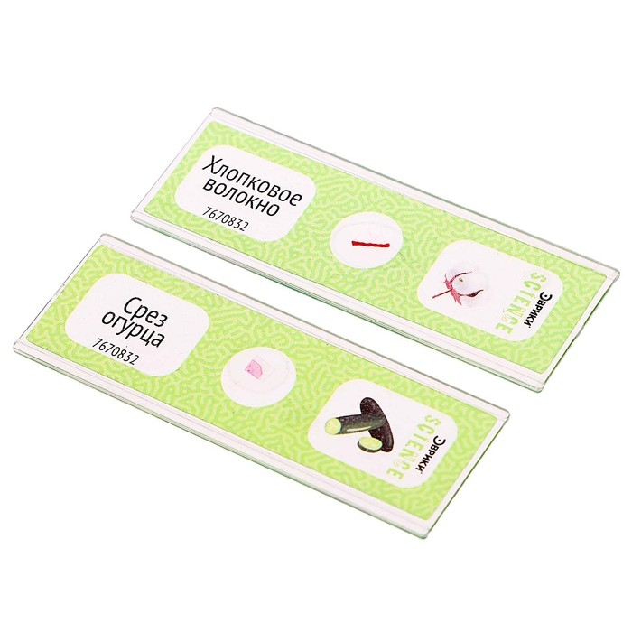 Набор для опытов &laquo;Набор микропрепаратов&raquo;, растения