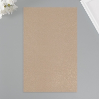 Лист для творчества иск.кожа "Личи. Перламутр" розовое золото лист 33х20 см толщина 0,9 мм 1047143 Лист для творчества иск.кожа "Личи. Перламутр" розовое золото лист 33х20 см толщина 0,9 мм 1047143