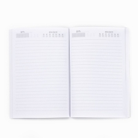 Подарочный набор "Любимому учителю": Ежедневник А5, 80л, стикеры и ручка