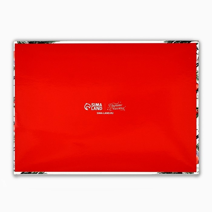 Коробка под 6 конфет с ячейками «Снегири», 10 х 14.5 х 3 см, Новый год Коробка под 6 конфет с ячейками «Снегири», 10 х 14.5 х 3 см, Новый год