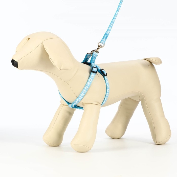 Комплект прошитый "Лапки", поводок 120 х 1 см, ОГ 23-35 см, голубой