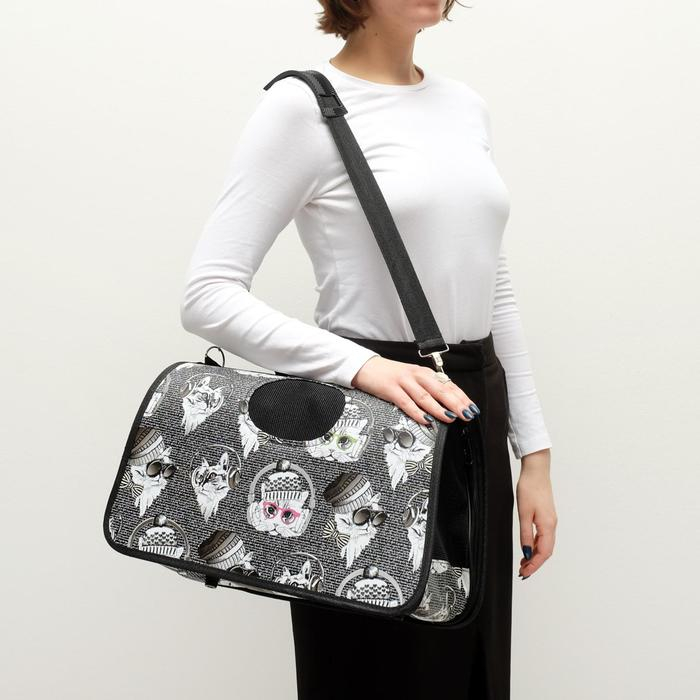 Сумка - переноска для животных Сумка - переноска для животных "Зимние коты", размер M, 40 х 21 х 27 см