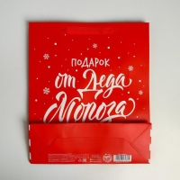 Пакет подарочный новогодний ламинированный &laquo;Подарок от Деда Мороза&raquo;, M 26 х 30 х 9 см