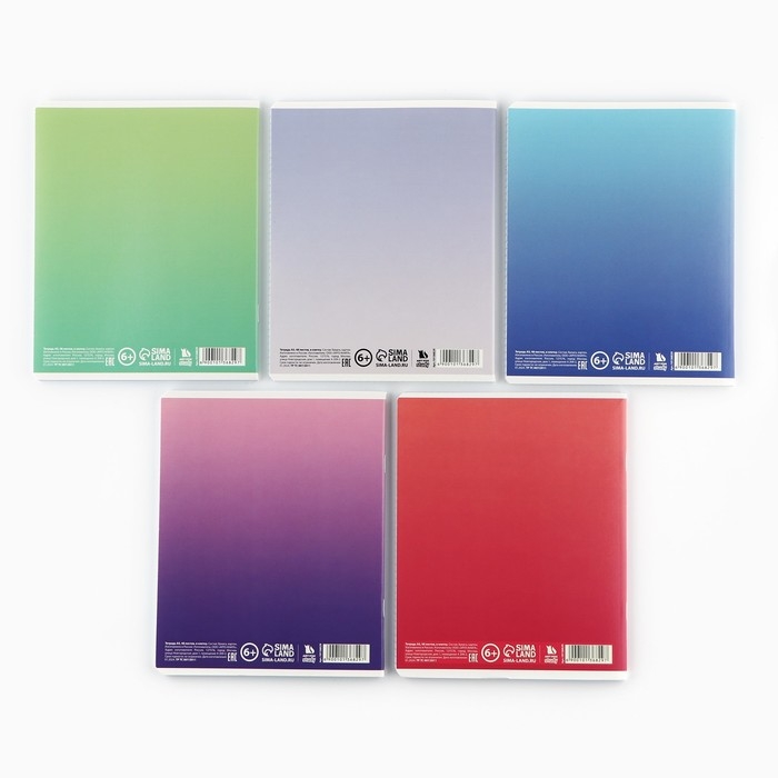 Тетрадь в клетку, 48 листов А5 на скрепке , внутренний блок №1 МИКС &laquo;1 сентября: Мотивационные&raquo; Мат. лам, тиснение