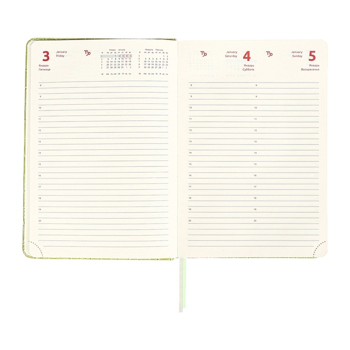 Ежедневник датированный 2025 года, A5, 168 листов, deVENTE. Barbara, твердая обложка кожзам с поролоном, перфорацией, ляссе, блок 70, зеленый
