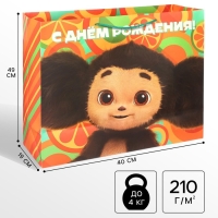 Пакет подарочный, "С Днем Рождения!", 49х40х19 см, упаковка, Чебурашка