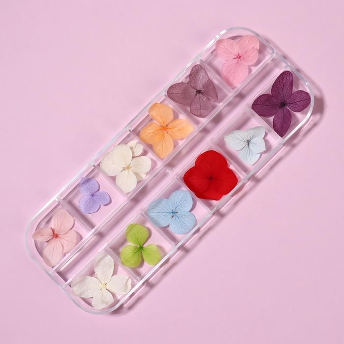Сухоцветы для декора ногтей «Нежность», объёмные, 12 видов, в футляре, разноцветные Сухоцветы для декора ногтей «Нежность», объёмные, 12 видов, в футляре, разноцветные